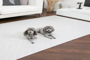 강아지 매트 추천 - 2025년 9월 판매순위 50위