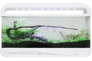 어항 추천 - 2025년 1월 판매순위 66위