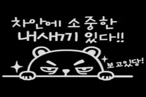 자동차 스티커 추천 - 2025년 6월 판매순위 50위