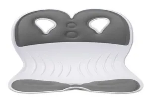 자세교정 의자 추천 - 2025년 5월 판매순위 50위