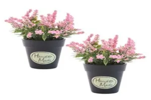 화분 추천 - 2025년 4월 판매순위 50위